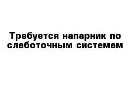 Требуется напарник по слаботочным системам